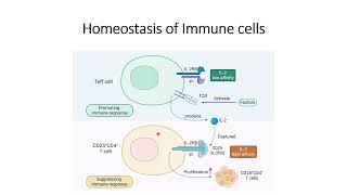 Homeostasis of Immune cells #Code: 1029