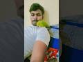 #viralvideo #parrot #cute  my baby