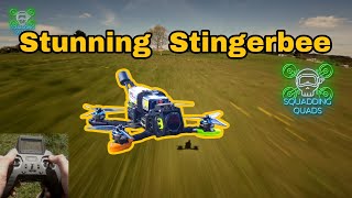 Unleashing the Stingerbee: Spring Sprint Thrills