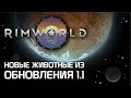 Rimworld 1.1 - Все о животных из нового обновления!