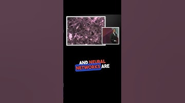 Neuroscience of Learning 2