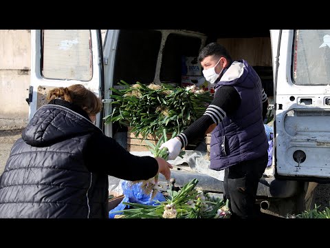 მარნეულში დღეიდან ღია აგრარული ბაზარი გაიხსნა