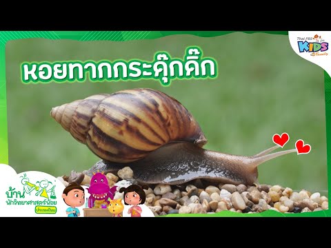 หอยทากกระดุ๊กดิ๊ก : บ้านนักวิทยาศาสตร์น้อย (9 ต.ค. 64)