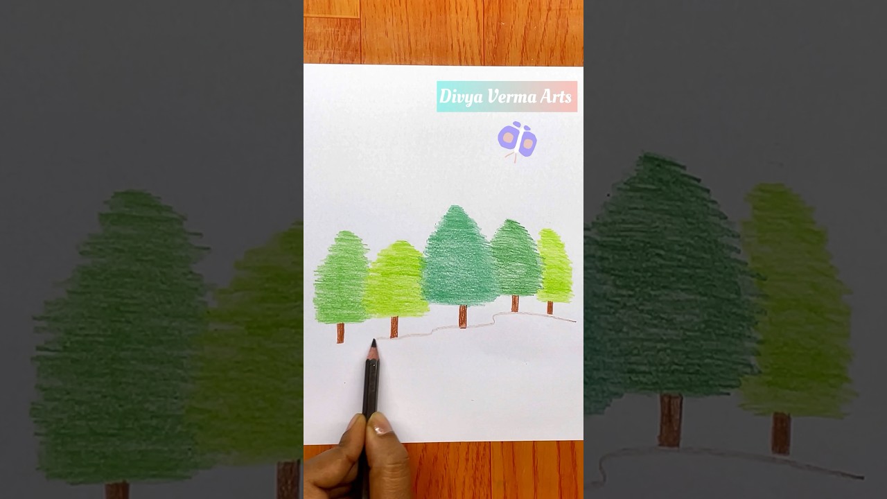 Trees drawing with pencil colours 