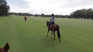 Trail riding at THAI POLO　タイポロの外乗