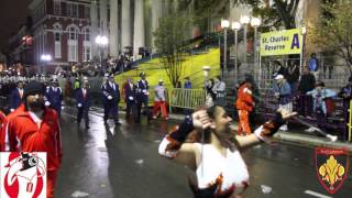 O Perry Walker High School in the Nyx Parade