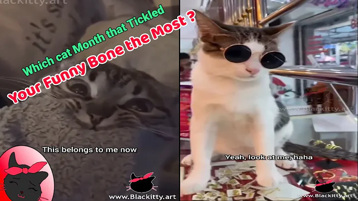 Video 3770051: cats talking compilation, black kitty, funny cat