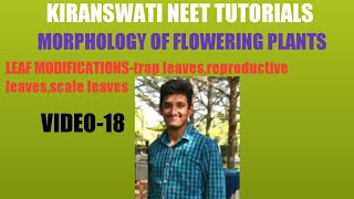 Morphology of flowering plants- leaf modifiactions-trap leaves, reproductive leaves,scale leaves