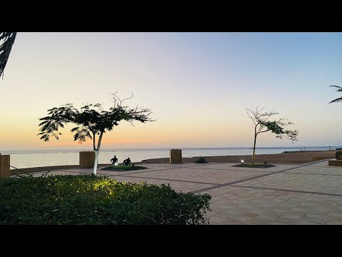 ASMR | Beautiful Relaxing Piano Music and Ocean Wave Sounds for Sleeping and Meditation