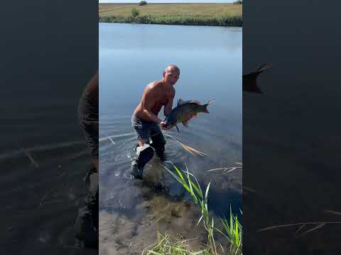 Рыбку нужно отпускать.Пусть растёт дальше) #hunting #животные #animals #pig #рыбалка #лесной#собака