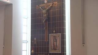 What Kind of Soil is Your Heart? A Homily on Receiving God's Word