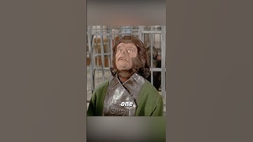 These apes are smarter than humans! #shorts #viralvideo