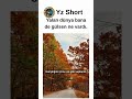 🍂😔 Garipname – Yalnızlığın ve Kaybın Hikâyesi 🕊️ #keşfet #kişiselgelişim...