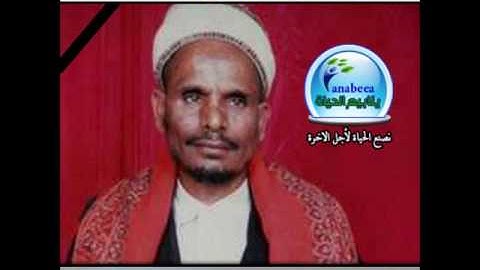 سورة يوسف -  محمد حسين عامر