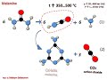 Chemical reactions. Animation. Urea. Biuret. Triuret. CYA. Melamine. Animation