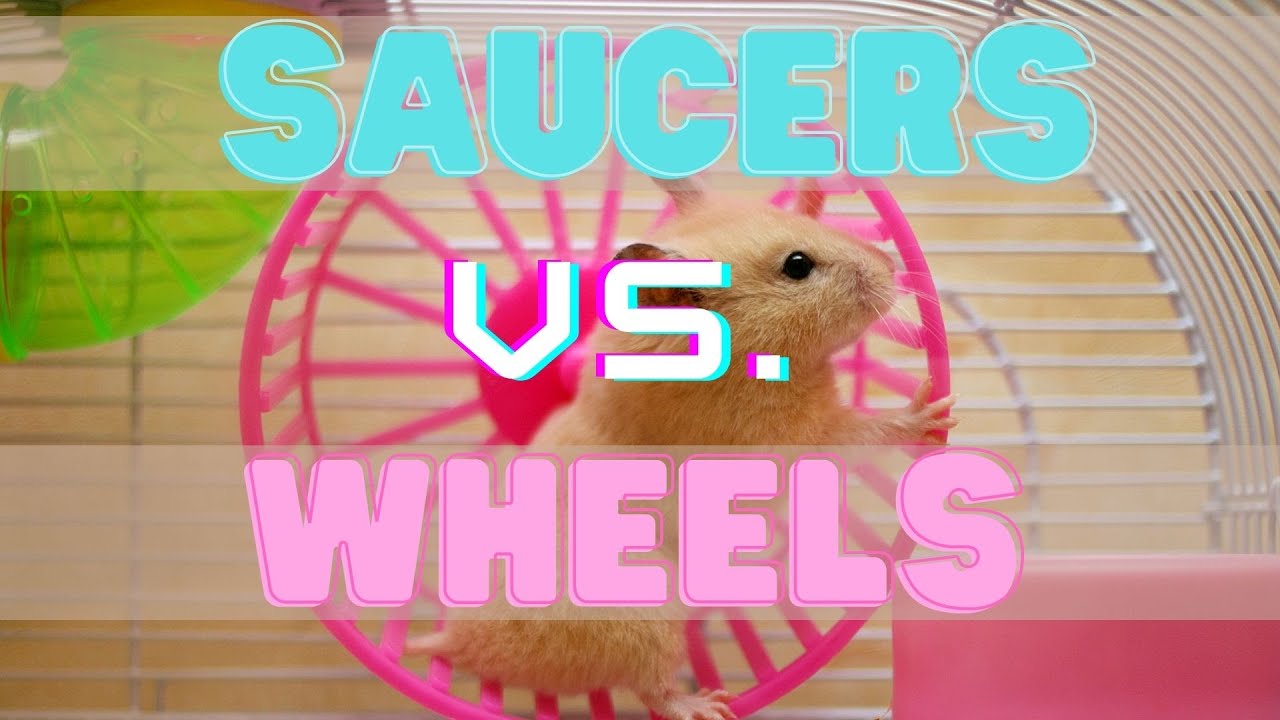 HAMSTER Review Saucers vs. Wheels Which One is BETTER Funny