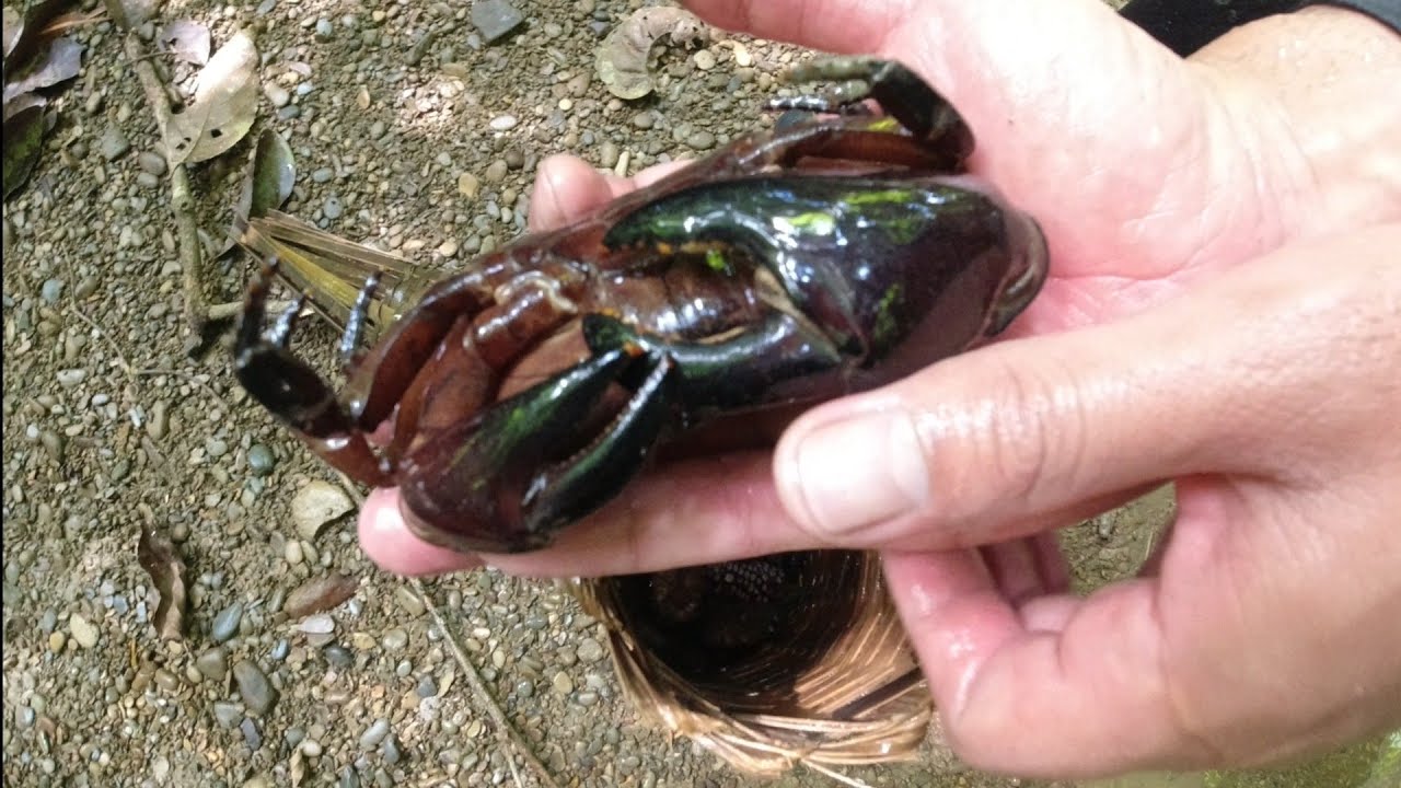 Aiawt en | Chakai 100 chuang kan titla e🦀🦀🦀🦀🦀🦀🦀🦀🦀🦀🦀🦀🦀🦀🦀🦀🦀🦀🦀🦀🦀🦀🦀🦀