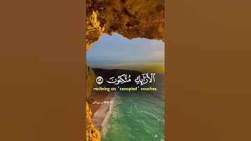 تلاوة خاشعة تريح القلب #راحة_نفسية #قران_كريم #قرآن #المصحف #لايك #explore #اكسبلور