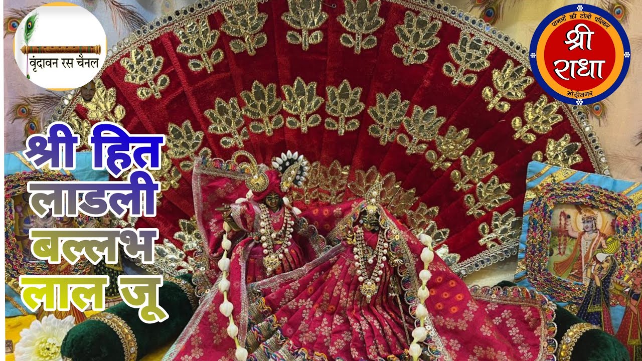 श्री हित लाडली बल्लभ लाल जू का पाटोत्सव और होली उत्सव (25/02/26) पागलों की टोली संकीर्तन पारिकर 