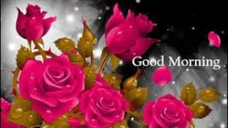 Beautiful rose good morning with excellent music