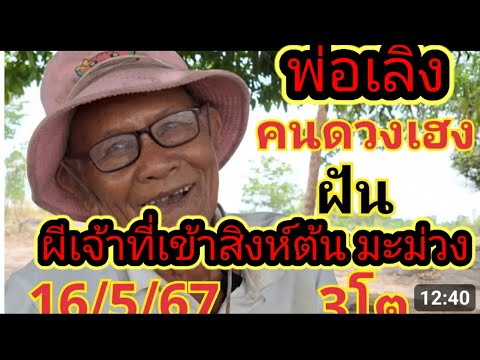 #ผีเจ้าที่สิงห์ต้นมะม่วง #เขัยนให้สามโต #6/05/67