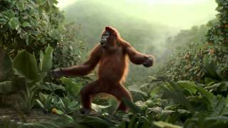 Funny Orangutan Has Best Dance Moves We've Ever Seen!