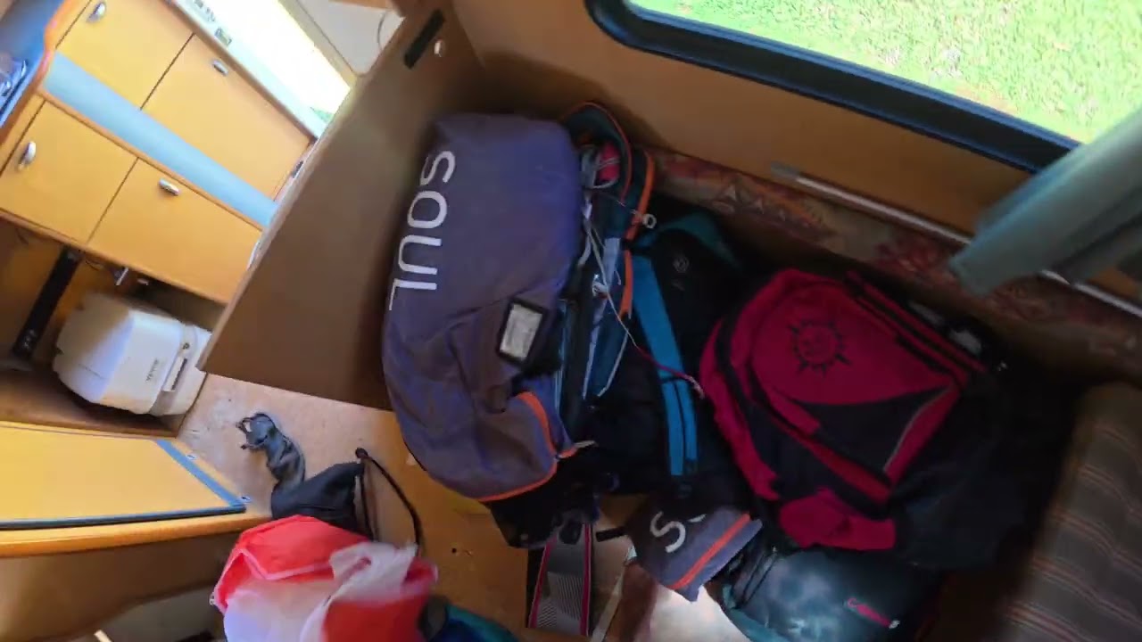 So many kites, so much fun 