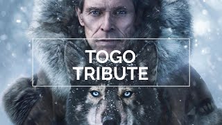 Togo Tribute