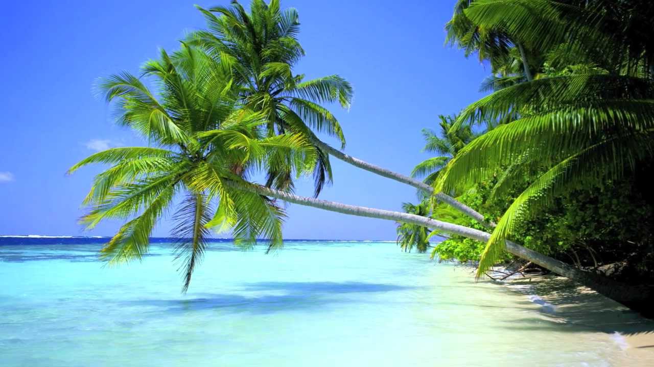 Good Size The Pineapple Song YouTube