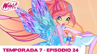 Winx Club | Latinoamérica  EPISODIO COMPLETO | La mariposa dorada | Temporada 7 Episodio 24