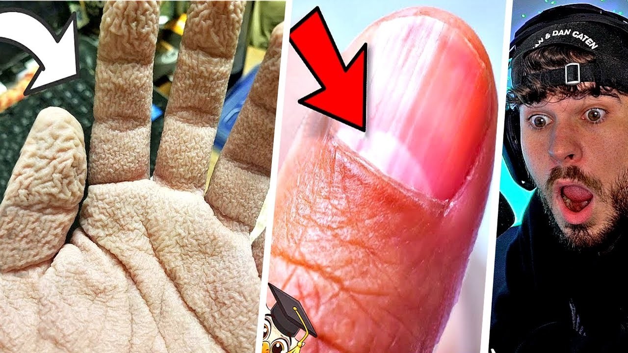 10 Dinge, die du NICHT über DEINEN Körper wusstest