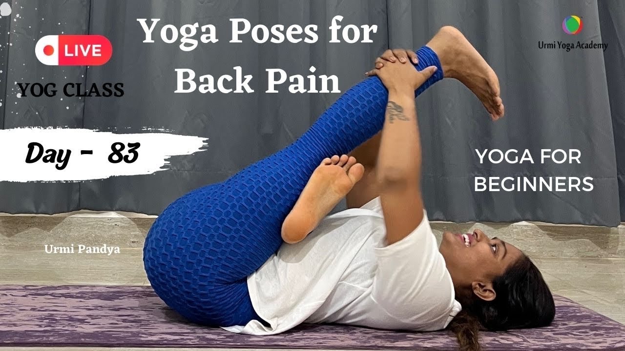 Live Yog Session Yoga Poses for Back Pain YOGA FOR BEGINNERS Urmi