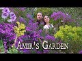 Exploring Amir&#39;s Garden in Griffith Park