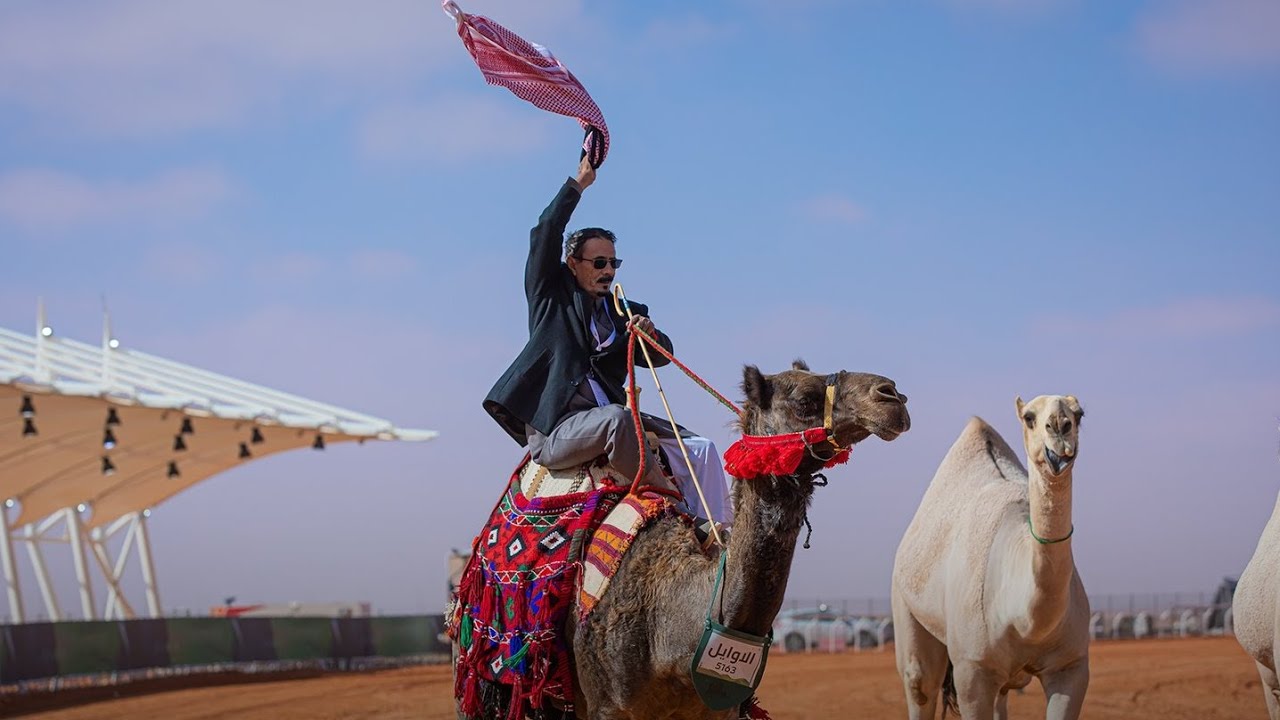 منقية #الاوايل تحصد المركز الاول شلفا ولي العهد لون الشقح لمالكها مقعد الدوسري