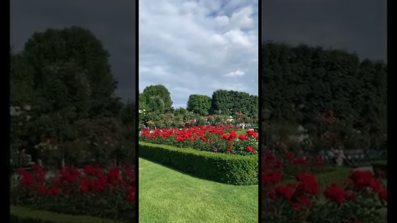 Volksgarten | Austria, Vienna