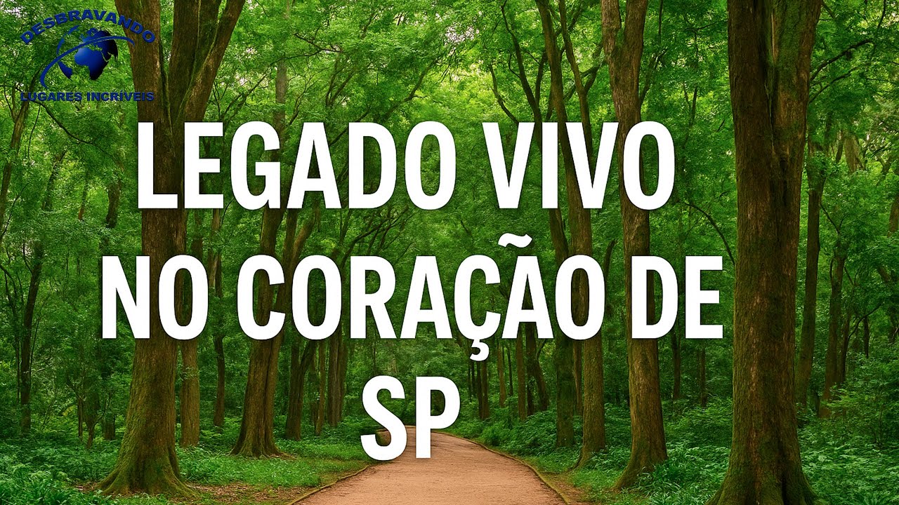 O Legado Vivo da Fundação Americano