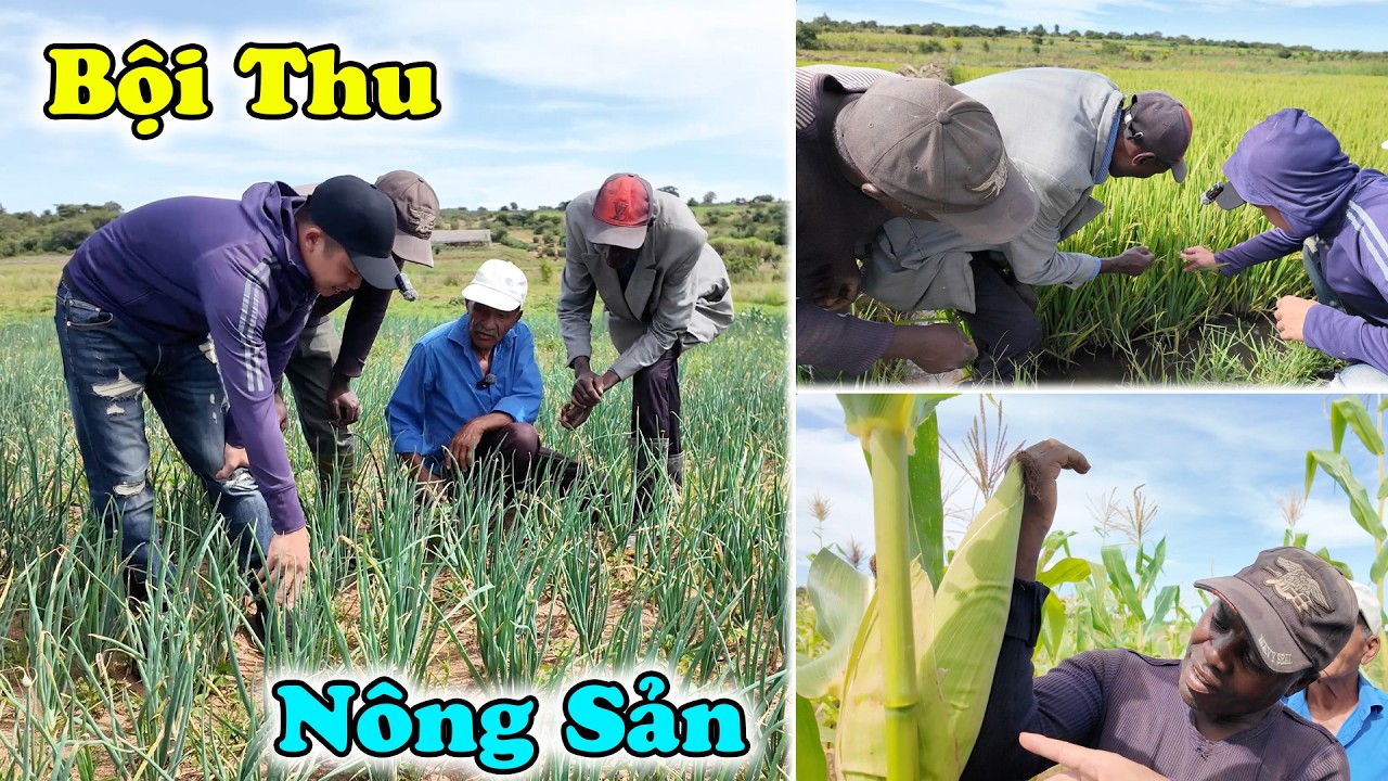 Công Giáp || Ấm No Thật Rồi ! Món Quà Chúng Tôi Dành Tới Người Việt Nam ! Luôn Biết Ơn !