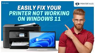 Famous Printer Not Working on Windows 11 – Easy Solutions | Printer Tales Net Worth