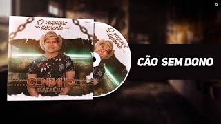 Geninho Batalha - Cão sem Dono (O Vaqueiro Diferente)