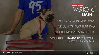 How to use a Multi-function Dog Lead - Vario 6 Multi-Function Lite Dog Leash