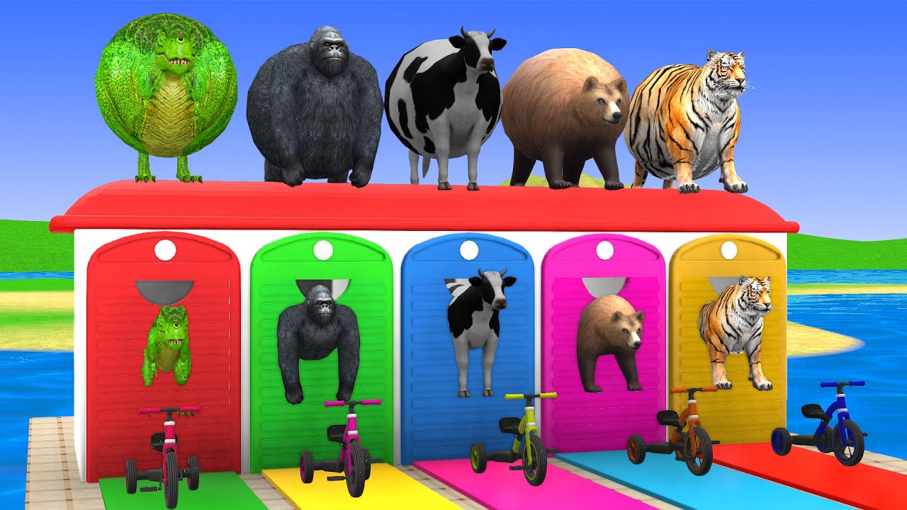 Long Slide Game with Cow Elephant Gorilla Hippopotamus Tiger 3d Animal Game Funny 3d Animals