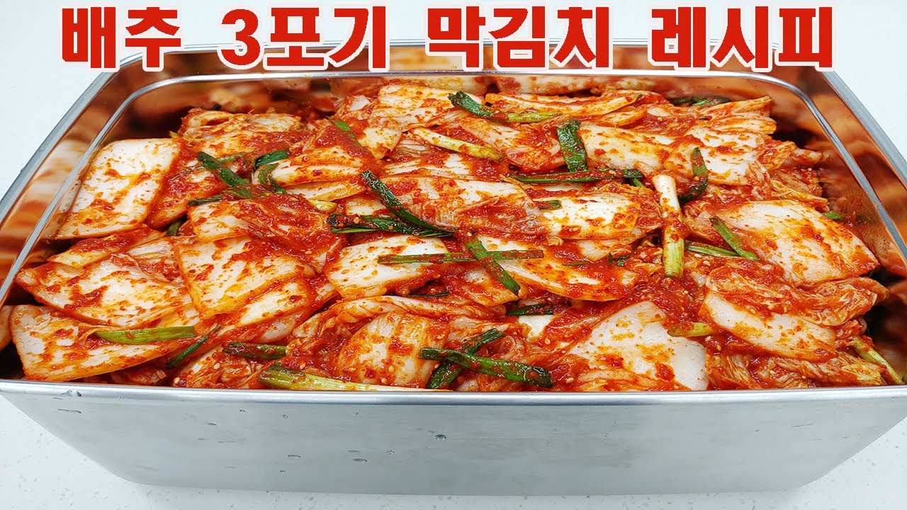 막김치 맛있게 만들기 배추 3포기 황금레시피 make kimchi with cabbage #153