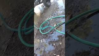 Seadoo GTI SE 4Tec beeps while running. Any help?