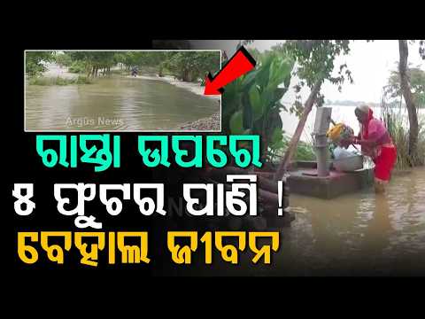 Basudevpur Flood Situation Alarming: 7 Panchayats Submerged | Communication Cut Off | Argus News