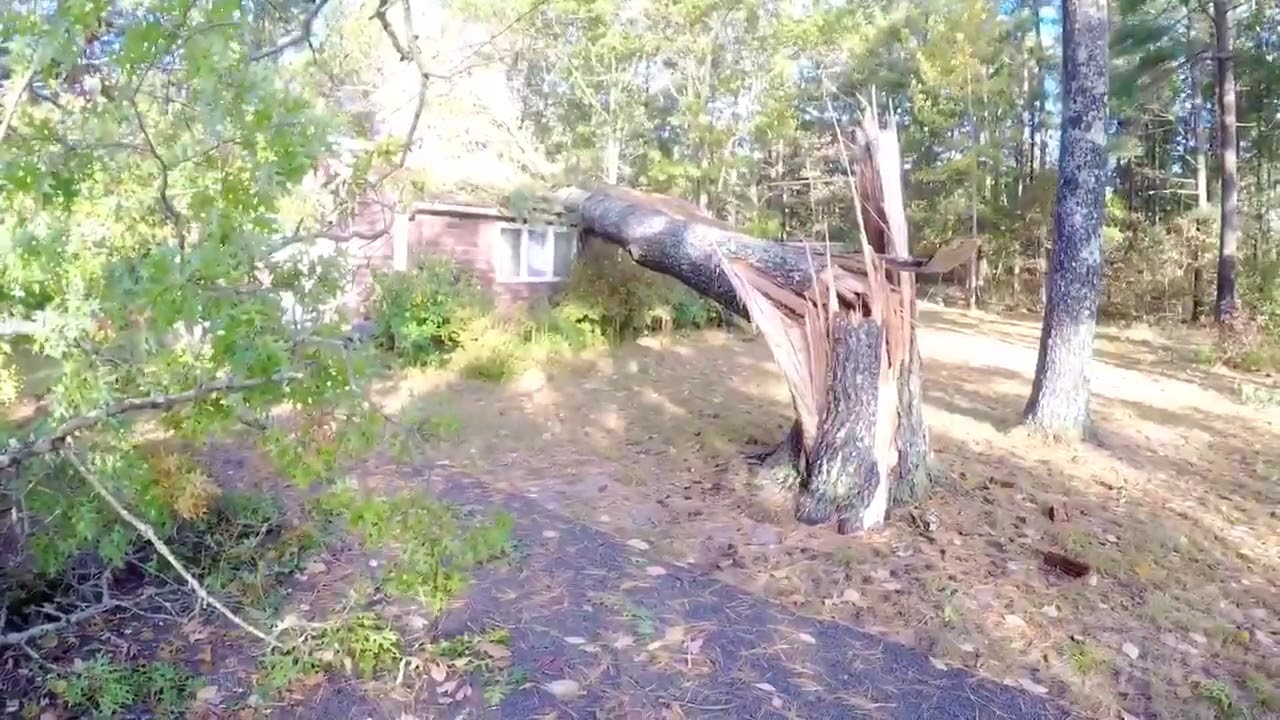 10172019 Duxbury, MA Aerials Large Trees Crashes Onto Car & Home
