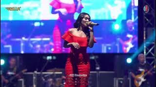 Merayu Tuhan - Difarina Indra - OM. Adella at Pemalang | SMS Pro Audio