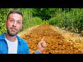 Come ELIMINARE le ERBACCE dall'ORTO in modo EFFICACE ma NATURALE