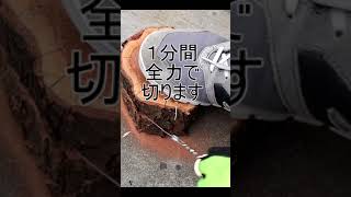 100均のワイヤーソーで木は切れるのかやってみた