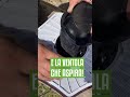 ELIMINARE le ZANZARE (metodo naturale)