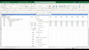 Data Prep for Population Pyramid Build
